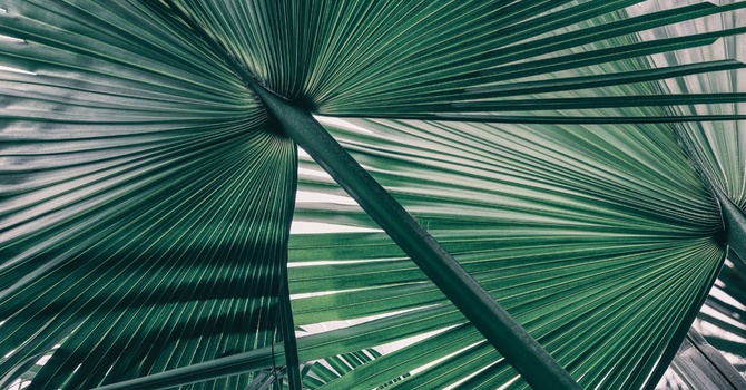 Infrared Sauna Therapy