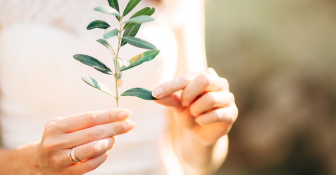 Leg Compression Therapy