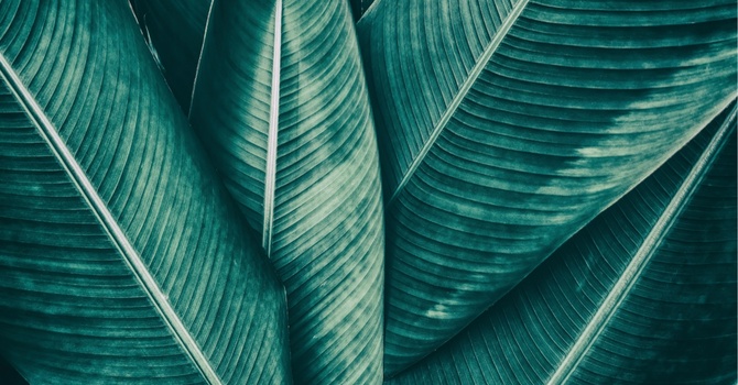 Infrared Sauna Therapy